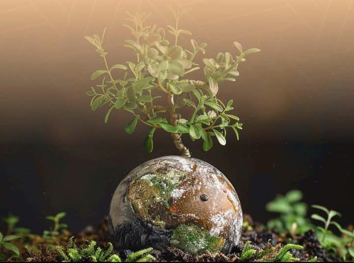 وزارة الفلاحة تؤكد التزامها بحماية الأرض في اليوم العالمي لها