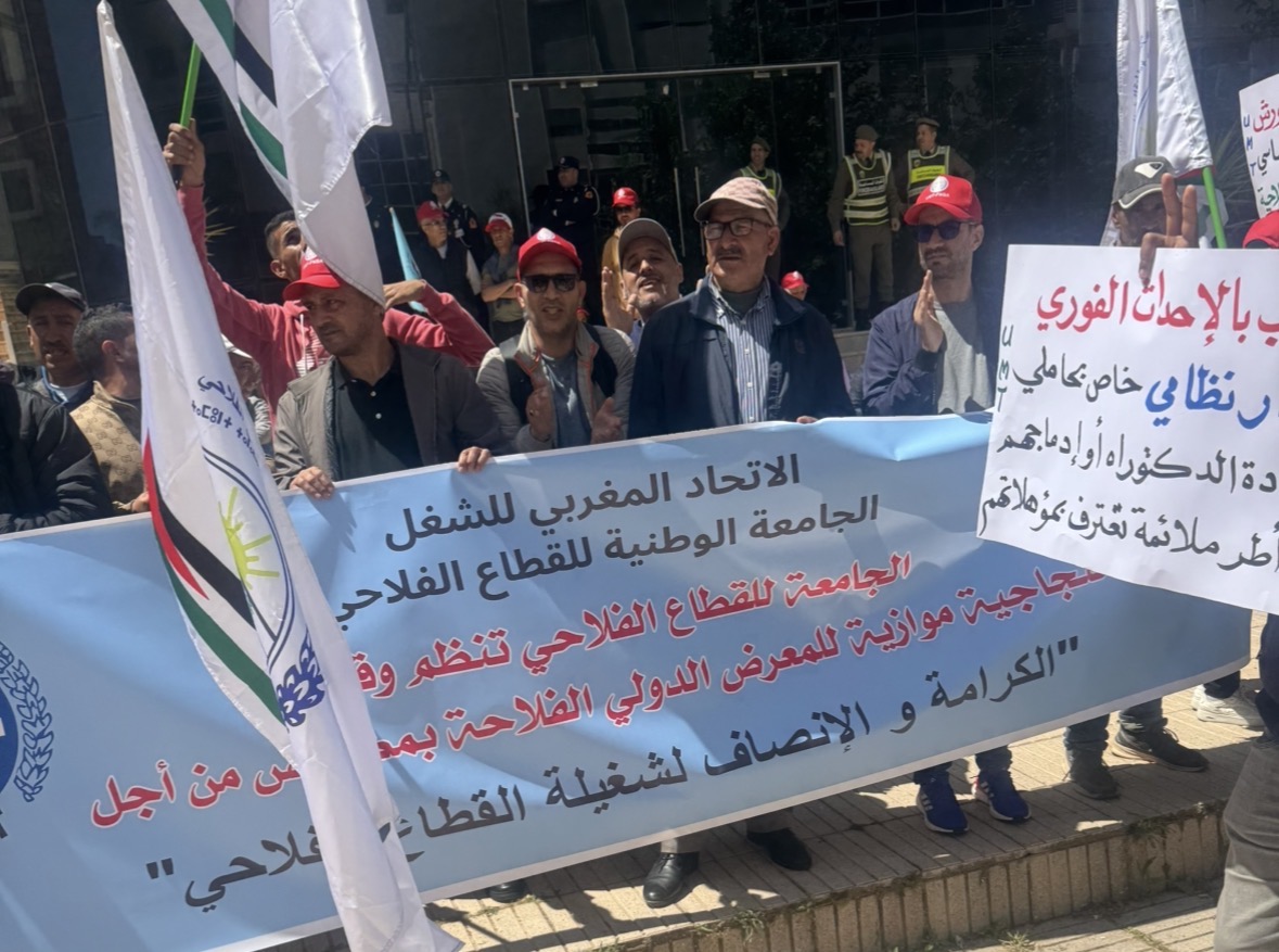 إقبال يفوق التوقعات في الوقفة الاحتجاجية بمكناس التي دعت إليها الجامعة الوطنية للقطاع الفلاحي