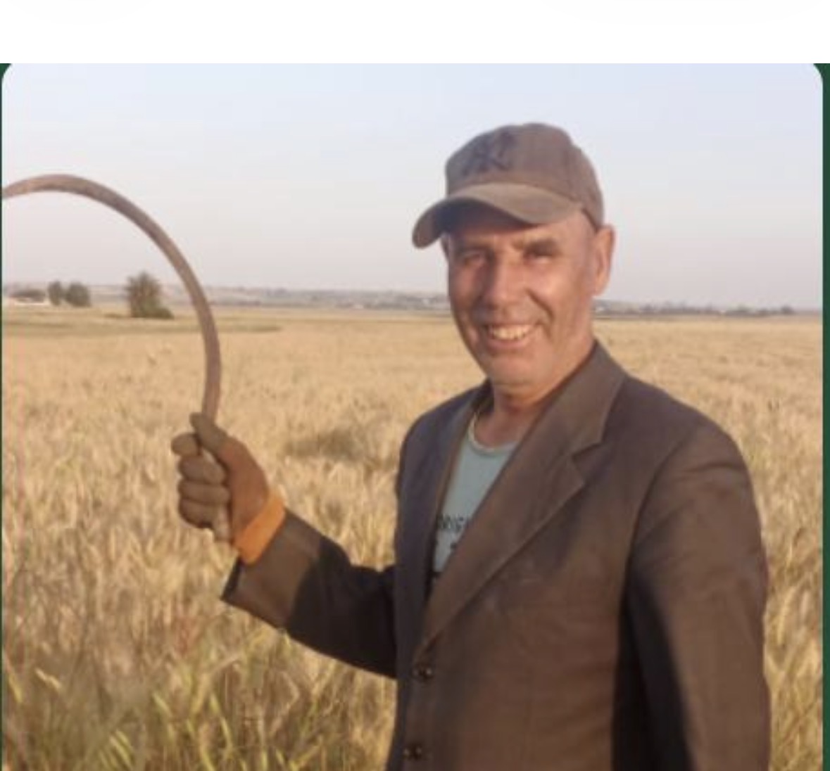 اصفرار السنابل …مؤشر على اقتراب موسم الحصاد بمنطقة المذاكرة